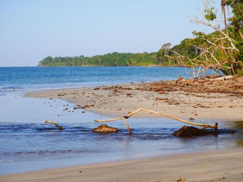 Beach, Cabinas Tito in Cahuita Beach, Cabinas Tito in Cahuita