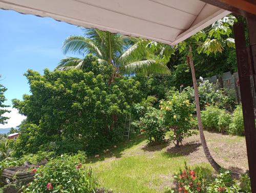 Garifuna Retreat Apartment in Kingstown Garifuna Retreat Apartment in Kingstown