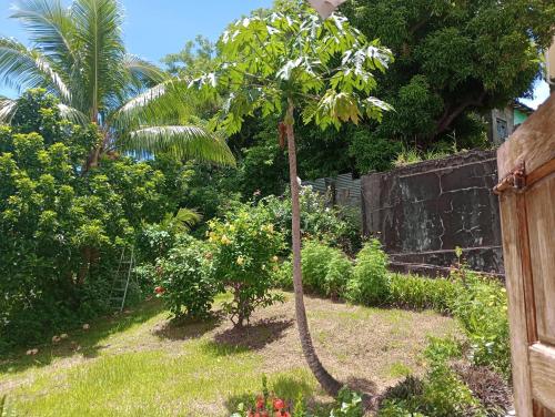 Garifuna Retreat Apartment in Kingstown Garifuna Retreat Apartment in Kingstown