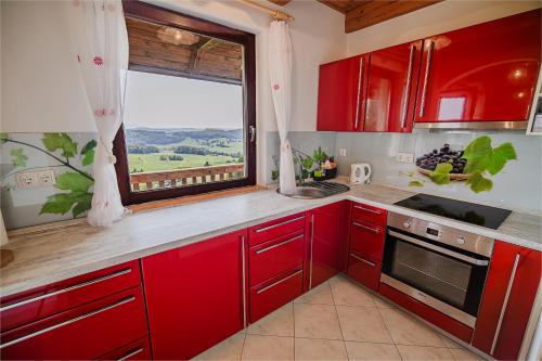 кухня, Holiday Home Sunny at vineyard in Senovo кухня, Holiday Home Sunny at vineyard in Senovo