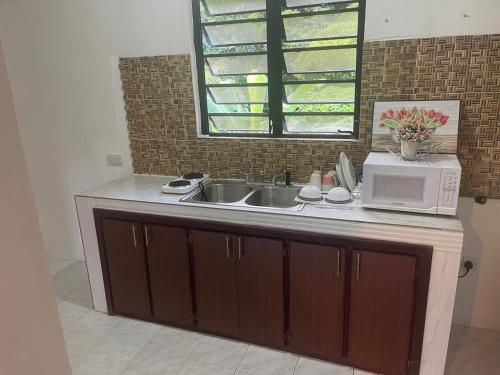 Cozinha, Iguana Apartments in Saint George Cozinha, Iguana Apartments in Saint George