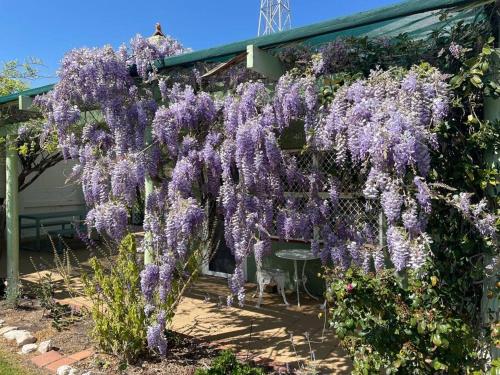 The Merredin Treasury Cottage in Merredin The Merredin Treasury Cottage in Merredin