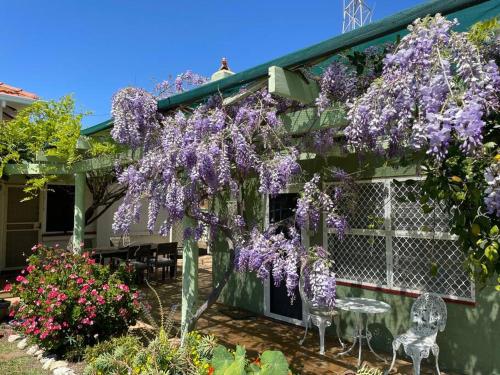 The Merredin Treasury Cottage in Merredin The Merredin Treasury Cottage in Merredin