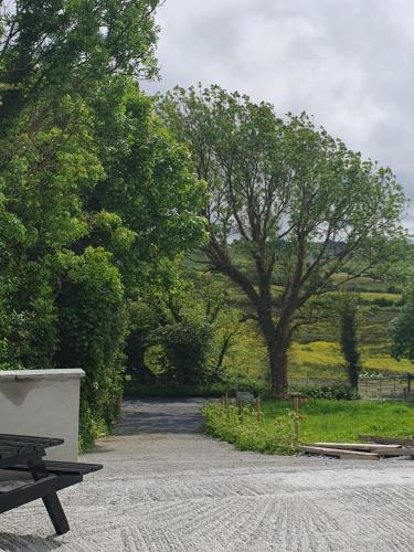 Сад, Hogans Cottage Ennistymon in Еністімон Сад, Hogans Cottage Ennistymon in Еністімон
