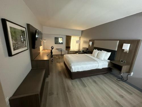 Comfort Inn Conyers in كانييرز Comfort Inn Conyers in كانييرز