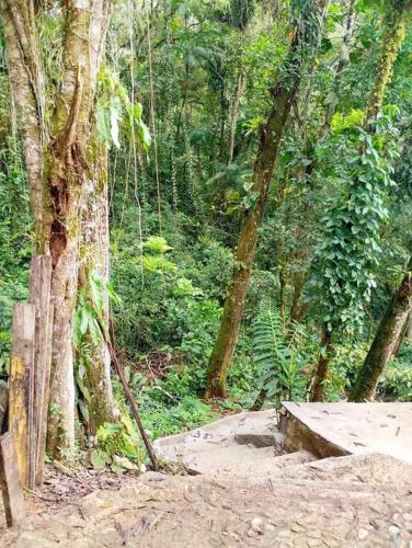 Bejárat, Chalé do Bosque em Ubatuba (Chale do Bosque em Ubatuba) in Praia Pereque-Mirim Bejárat, Chalé do Bosque em Ubatuba (Chale do Bosque em Ubatuba) in Praia Pereque-Mirim