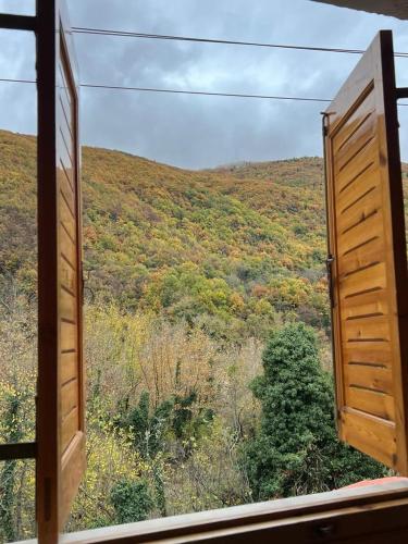Forest view Aggeliki in 팀프리스토스 Forest view Aggeliki in 팀프리스토스
