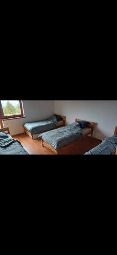 Kuća za zabavu ili odmor-Pegas (Kuca za zabavu ili odmor-Pegas) in สเวติ คริซ ซาเชรตเย Kuća za zabavu ili odmor-Pegas (Kuca za zabavu ili odmor-Pegas) in สเวติ คริซ ซาเชรตเย