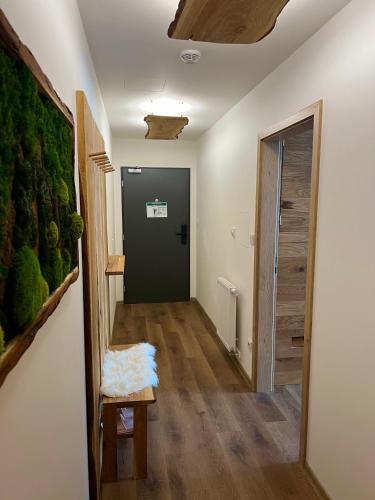 Apartmán Dubový důl (Apartman Dubovy dul) in 赛尔妮杜尔 Apartmán Dubový důl (Apartman Dubovy dul) in 赛尔妮杜尔