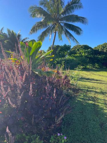 Bungalow Tiny House Puunui in Vaira'o Bungalow Tiny House Puunui in Vaira'o