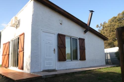 Artemisa in Guazuvira Artemisa in Guazuvira