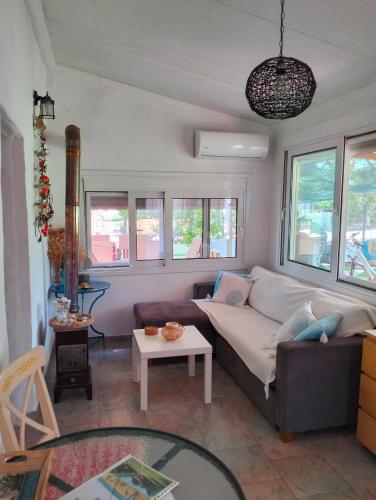 Amaryllis sweet home in ปีร์กอส Amaryllis sweet home in ปีร์กอส
