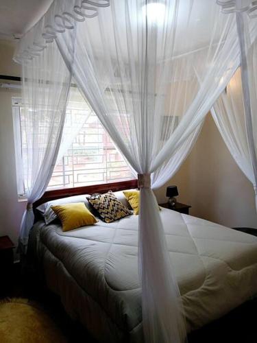 Jjaja's Avocado Grove - Fenne