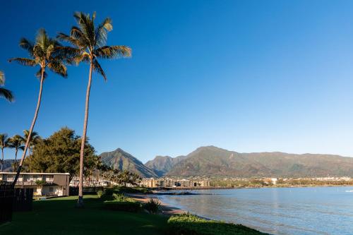 周辺観光スポット, マウイ シーサイド ホテル (Maui Seaside Hotel) near カフルイ空港 周辺観光スポット, マウイ シーサイド ホテル (Maui Seaside Hotel) near カフルイ空港