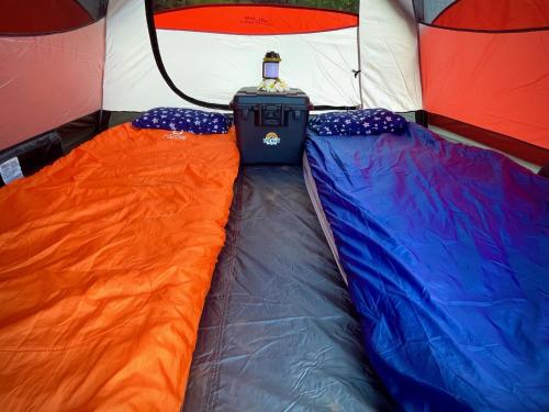 Budget Hack Maui SUV camping