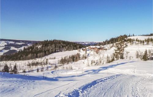 Удобства, Cozy Home In Hemsedal With Kitchen in Хемседал Удобства, Cozy Home In Hemsedal With Kitchen in Хемседал