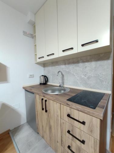 Peak Treats Apartment in Mavrovo Peak Treats Apartment in Mavrovo