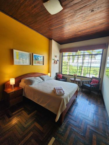 Flying Dog Hostel Iquitos in อิกิโตส Flying Dog Hostel Iquitos in อิกิโตส