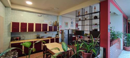 Flying Dog Hostel Iquitos in อิกิโตส Flying Dog Hostel Iquitos in อิกิโตส