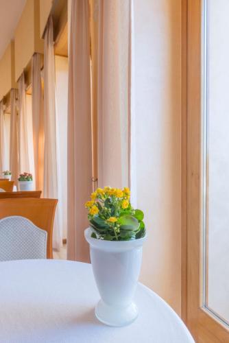 Facilities, Astura Palace Hotel in Nettuno Facilities, Astura Palace Hotel in Nettuno