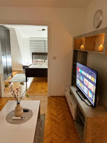ห้องส่วนกลางสำหรับนั่งเล่น/ดูทีวี, Dekster apartmani in วาลเจโว ห้องส่วนกลางสำหรับนั่งเล่น/ดูทีวี, Dekster apartmani in วาลเจโว