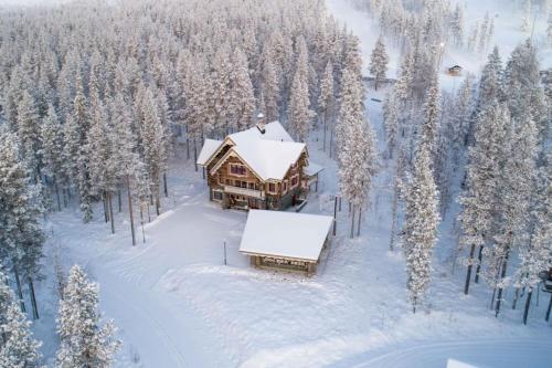 Cottage Finland - Golden Bear