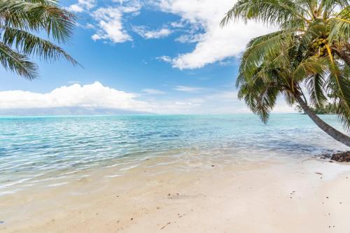 Strand, Fare Mehiata 2, free canoe in Farehau Strand, Fare Mehiata 2, free canoe in Farehau