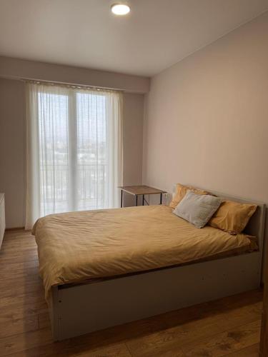 amazing appartment and view