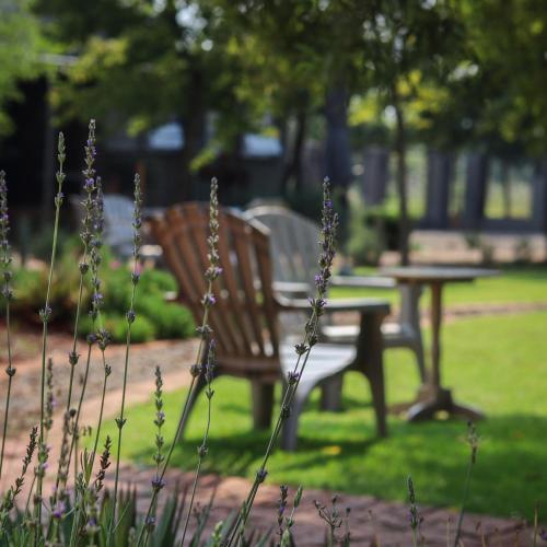 Jardin, Three Thymes Inn in Tierpoort Jardin, Three Thymes Inn in Tierpoort
