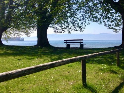 Ferienwohnung Strandgut - seenahe Maisonette Wohnung mit Parkplatz und Südbalkon (Ferienwohnung Strandgut - seenahe Maisonette Wohnung mit Parkplatz und Sudbalkon) in Лангенарген Ferienwohnung Strandgut - seenahe Maisonette Wohnung mit Parkplatz und Südbalkon (Ferienwohnung Strandgut - seenahe Maisonette Wohnung mit Parkplatz und Sudbalkon) in Лангенарген