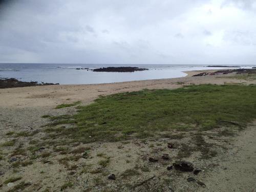 My Little Paradise in Lenakel Tanna My Little Paradise in Lenakel Tanna