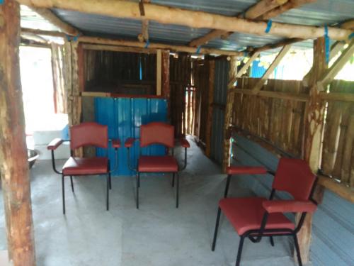 My Little Paradise in Lenakel Tanna My Little Paradise in Lenakel Tanna