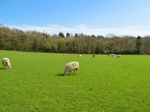 المنظر الخارجي, The Warren in Wellesbourne المنظر الخارجي, The Warren in Wellesbourne