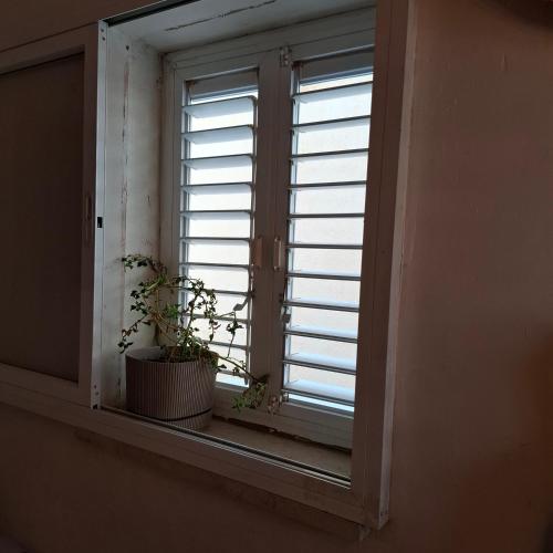 The Maggie Home in Tel Aviv The Maggie Home in Tel Aviv