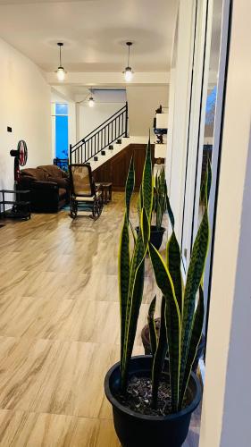 Mountain Paradise Bliss Guest House in Haputale Mountain Paradise Bliss Guest House in Haputale