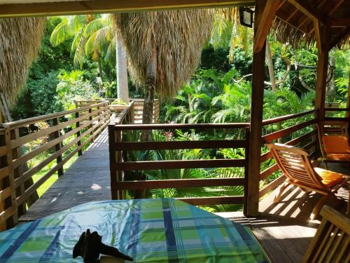Garden, Gite du Manial "Cabane du sentier des etoiles" in Pointe-Noire Garden, Gite du Manial "Cabane du sentier des etoiles" in Pointe-Noire