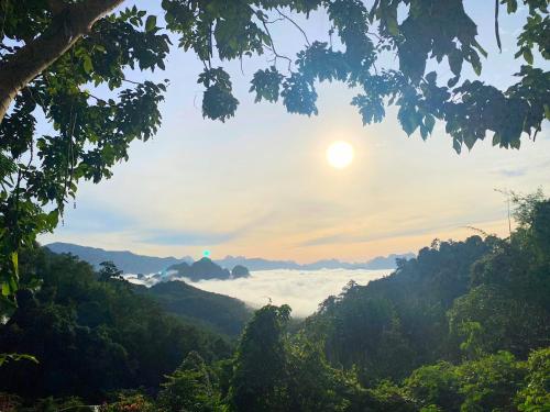 Flora Hostel KhaoSok in Khao Sok (Suratthani) Flora Hostel KhaoSok in Khao Sok (Suratthani)