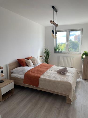 Przestronne mieszkanie Kraków