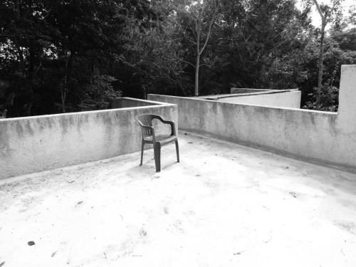 Attractions, barefoot jungle studios in Macario Gomez Attractions, barefoot jungle studios in Macario Gomez