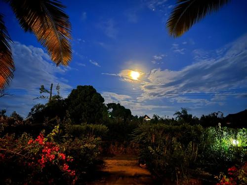 גינה, Ocean Villa Watamu - Exclusive Villa in Kenya with Pool and Tropical Garden in Watamu גינה, Ocean Villa Watamu - Exclusive Villa in Kenya with Pool and Tropical Garden in Watamu