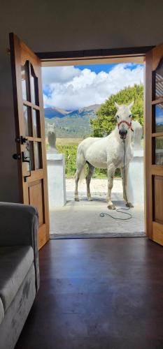 Hacienda San Nicolas de Cuicocha in 哥塔卡奇 Hacienda San Nicolas de Cuicocha in 哥塔卡奇
