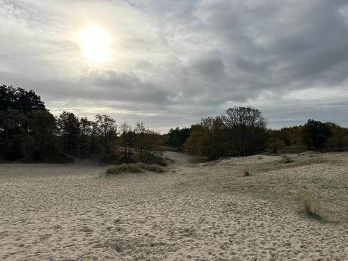 Surrounding environment, De Weie in Haamstede Surrounding environment, De Weie in Haamstede