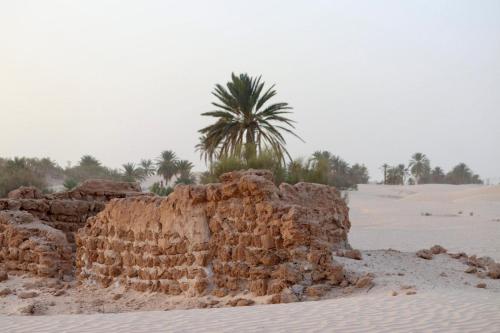 Garden, Camp Prive reve de desert in Douz Garden, Camp Prive reve de desert in Douz