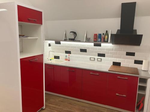 Konyha, Freshly renovated cosy apartment in Rozenprieel Konyha, Freshly renovated cosy apartment in Rozenprieel