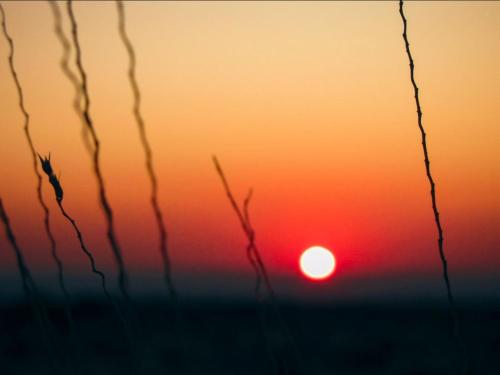 Alrededores, Mount Canyon Guest Farm in Keetmanshoop Alrededores, Mount Canyon Guest Farm in Keetmanshoop