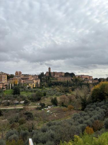 Da Sara&Bianca in centro a Siena
