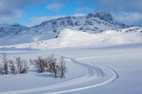 Sports and activities, Perfectly Located with Ski Access and Sauna in Beitostolen Sports and activities, Perfectly Located with Ski Access and Sauna in Beitostolen