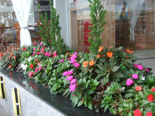 This photo about Vivas Hotel e Casa shared on HyHotel.com