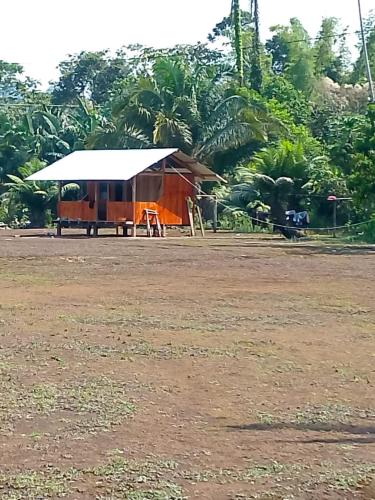 Comunidad Ecoturistico TUNA ARUTMA JEE in Canelos Comunidad Ecoturistico TUNA ARUTMA JEE in Canelos