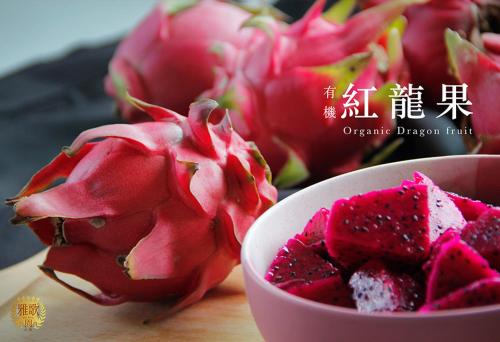 Hakka Eco-farm 雅歌園民宿食農教育有機農場 in Central Hakka Eco-farm 雅歌園民宿食農教育有機農場 in Central